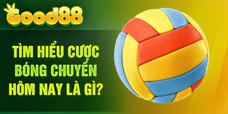 Tìm hiểu cược bóng chuyền hôm nay là gì?