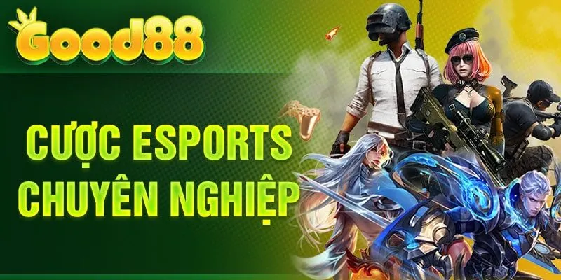 Cược esports chuyên nghiệp thumb